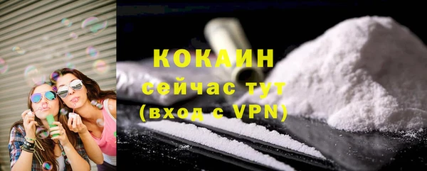 прущие грибы Беломорск