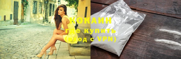 прущие грибы Беломорск