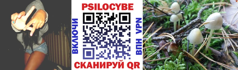 купить наркотик  Ершов  Галлюциногенные грибы MAGIC MUSHROOMS 